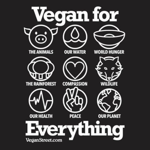 vegan-for-everything-world-vegan-day